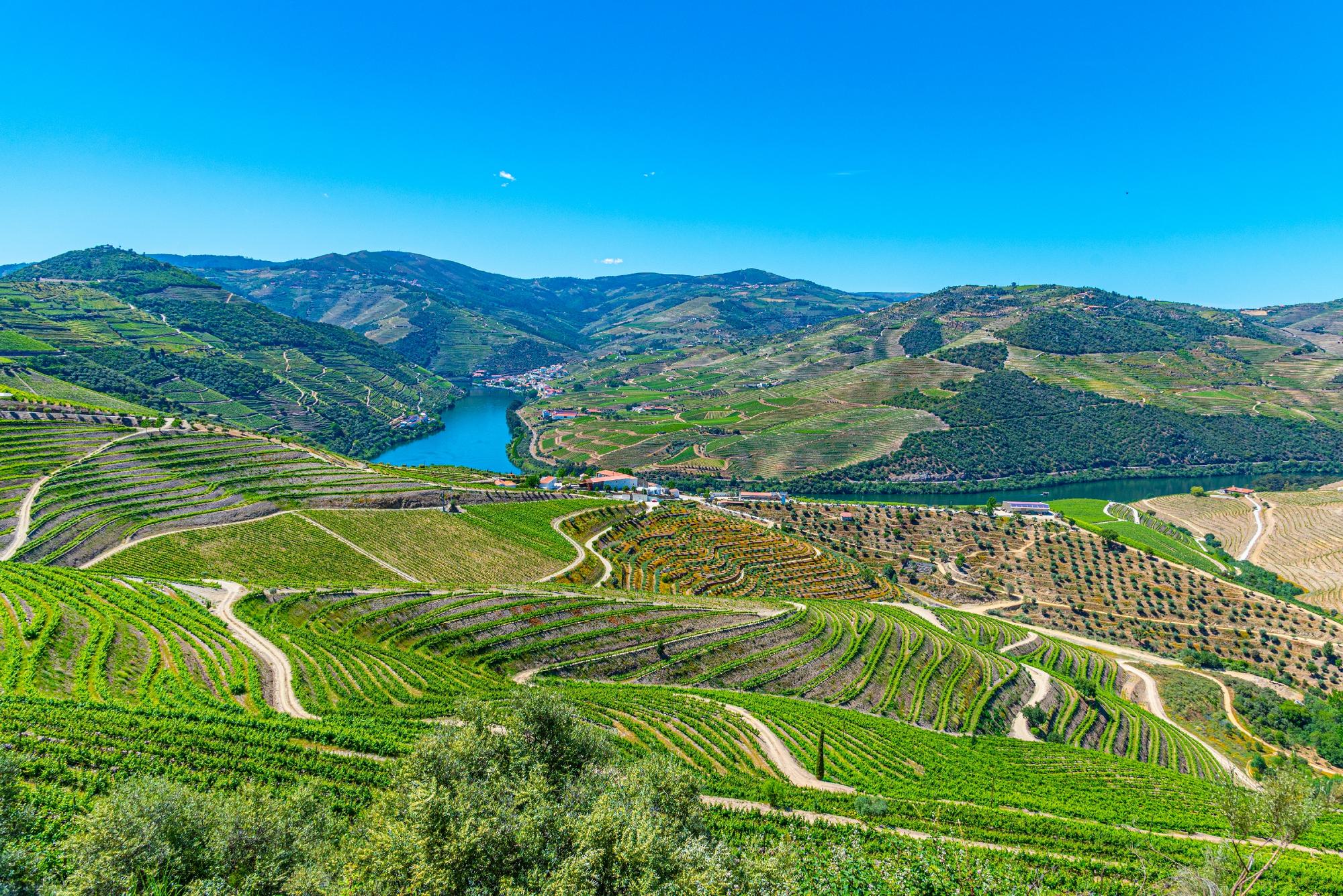 La vallée du Douro au Portugal et sa route des vins