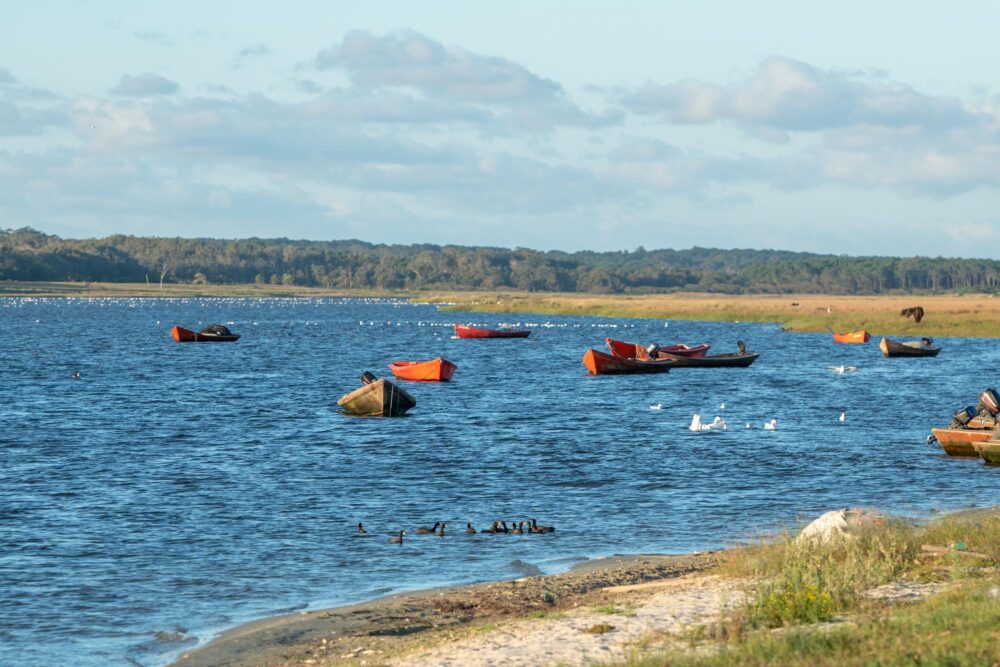 Laguna de Rocha, Uruguay