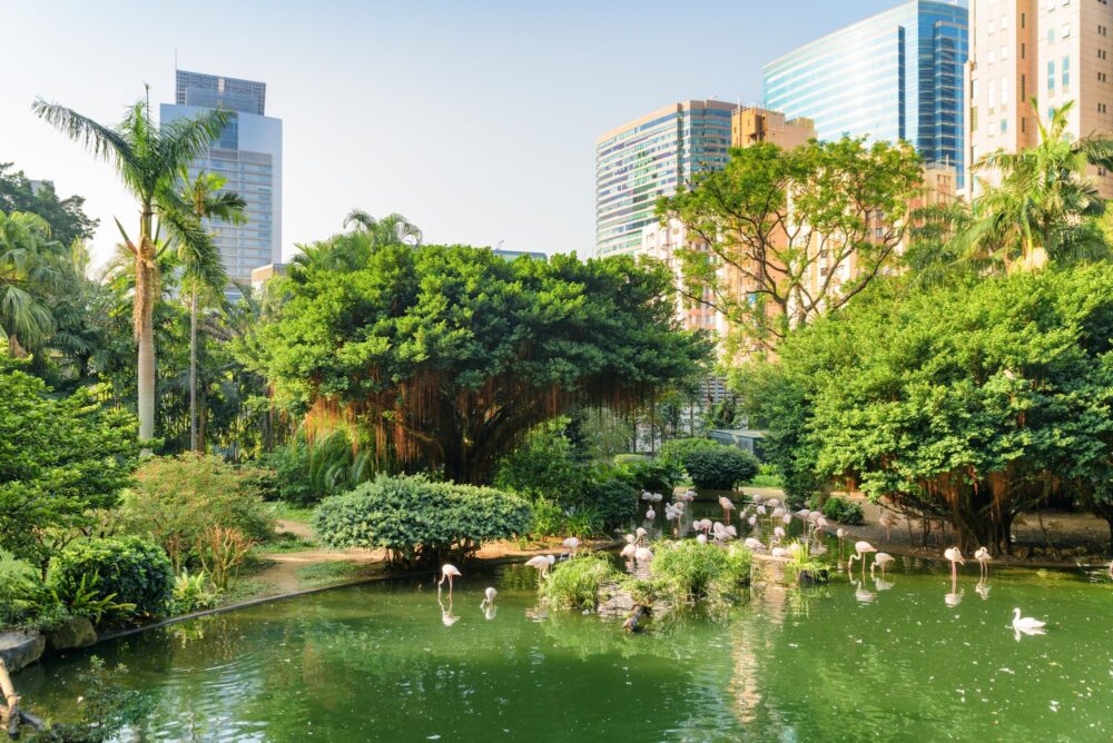 Le Parc de Kowloon, Hong Kong