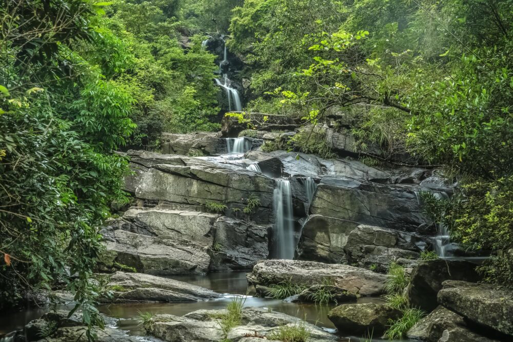 Le Parc naturel de Plover Cove, Hong Kong