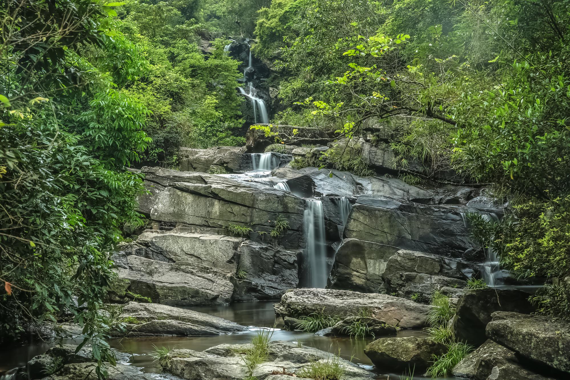 Le Parc naturel de Plover Cove, Hong Kong