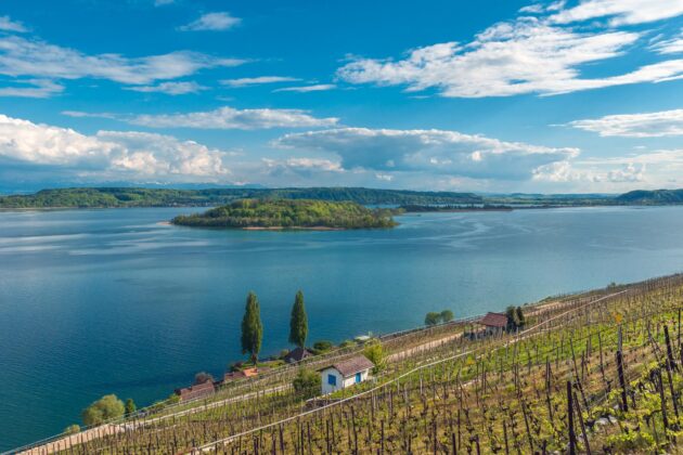 Le lac de Bienne