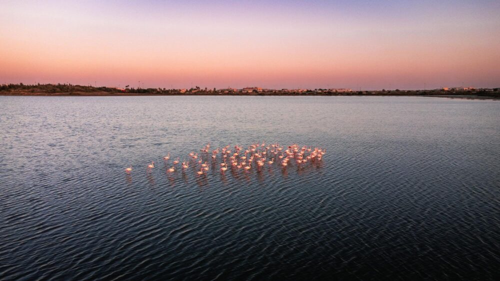 Le lac salé