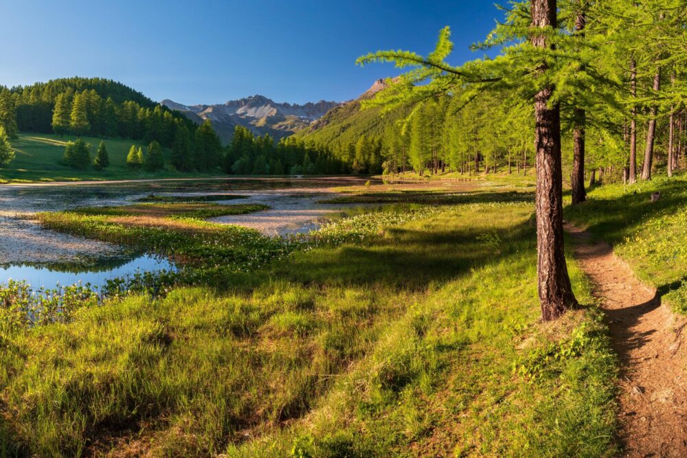 Le parc naturel régional du Queyras, France