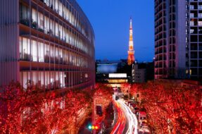 Les célèbres illuminations de Noël et la vue sur la tour de Tokyo depuis Roppongi