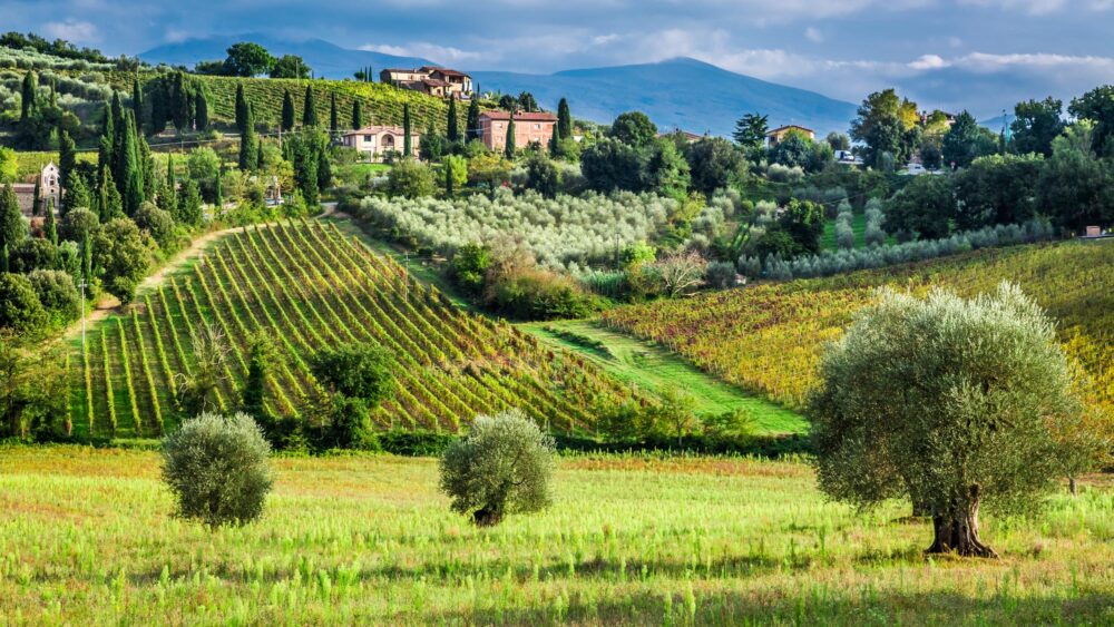 Les vignes dans un petit village de Toscane en Italie
