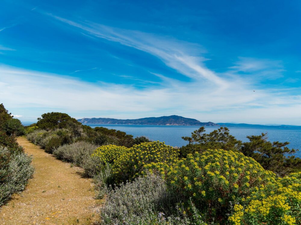L’île de Giannutri