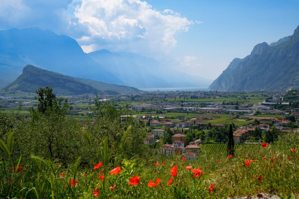 Monte Brione