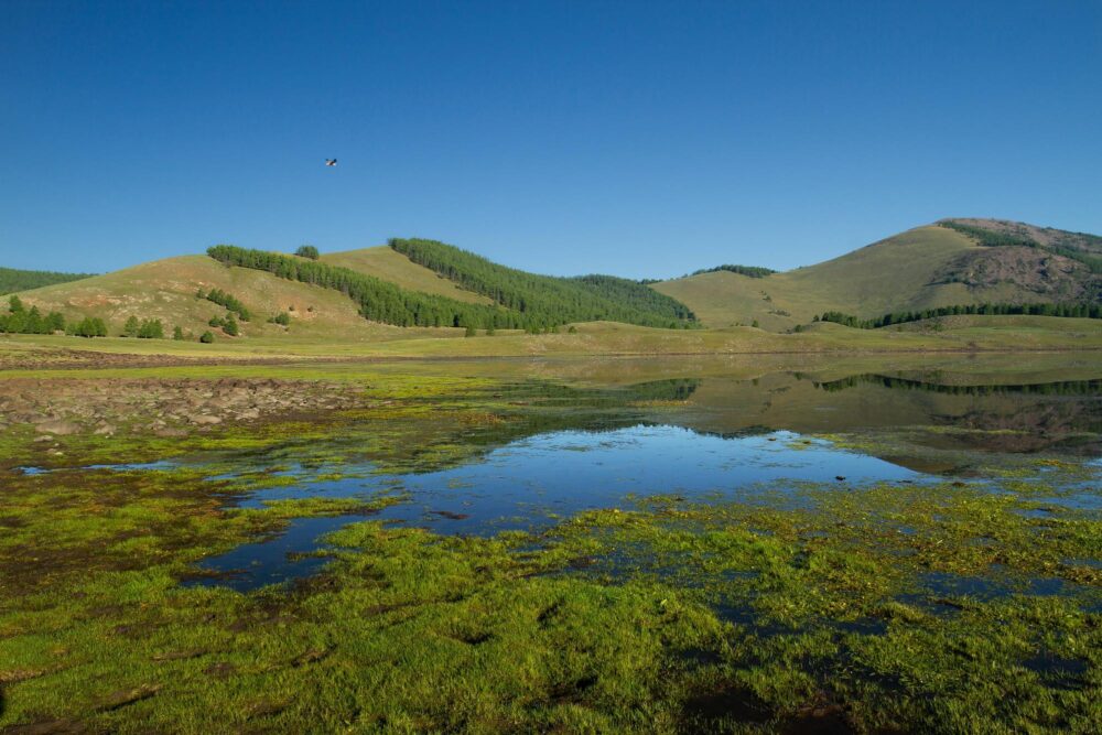Naiman Nuur, Mongolie