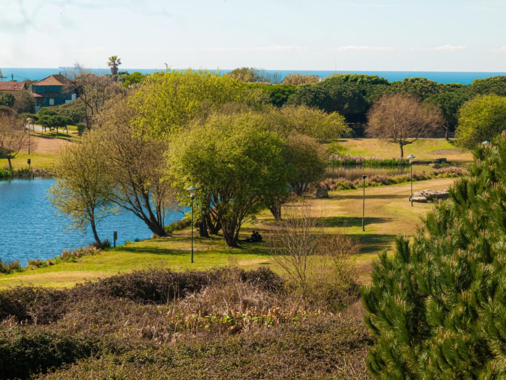 Parque da cidade à Porto, Portugal