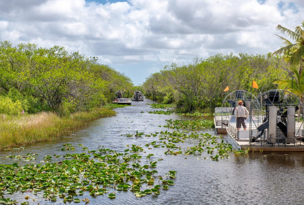 Un tour d'hydroglisseur dans les Everglades en Floride