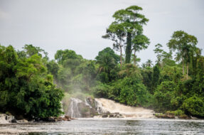 Chutes de la Lobé, Cameroun