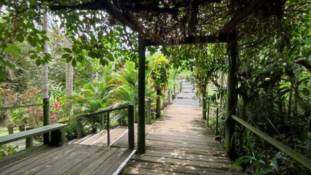 Jardin du Géant Endormi, Fidji