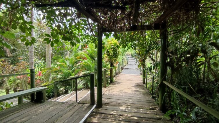 Jardin du Géant Endormi, Fidji
