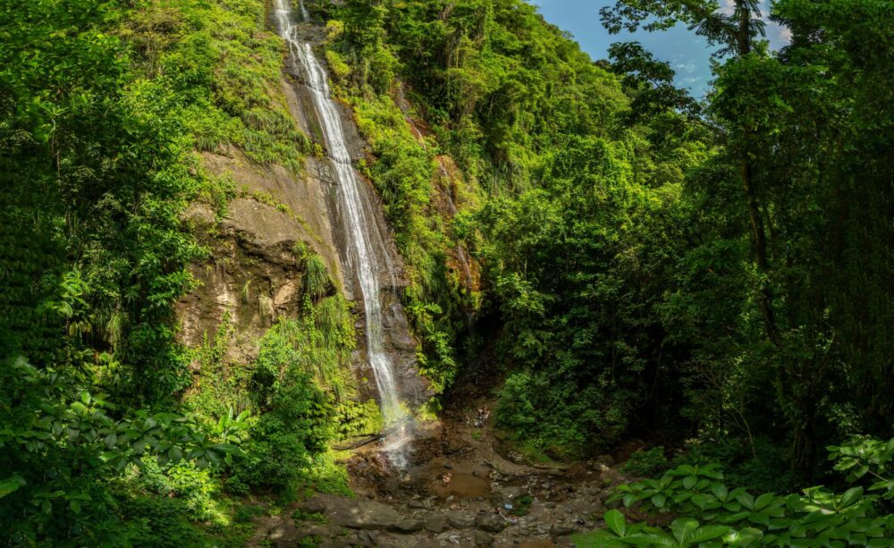 La jolie cascade Couleuvre au nord de la Martinique