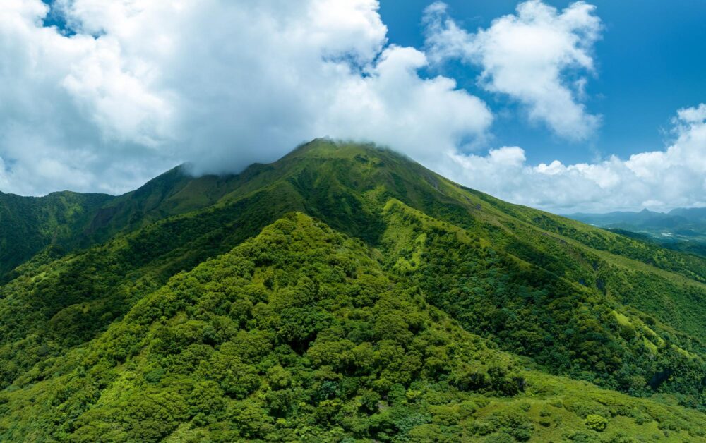 La luxuriante Montagne Pelée en Martinique