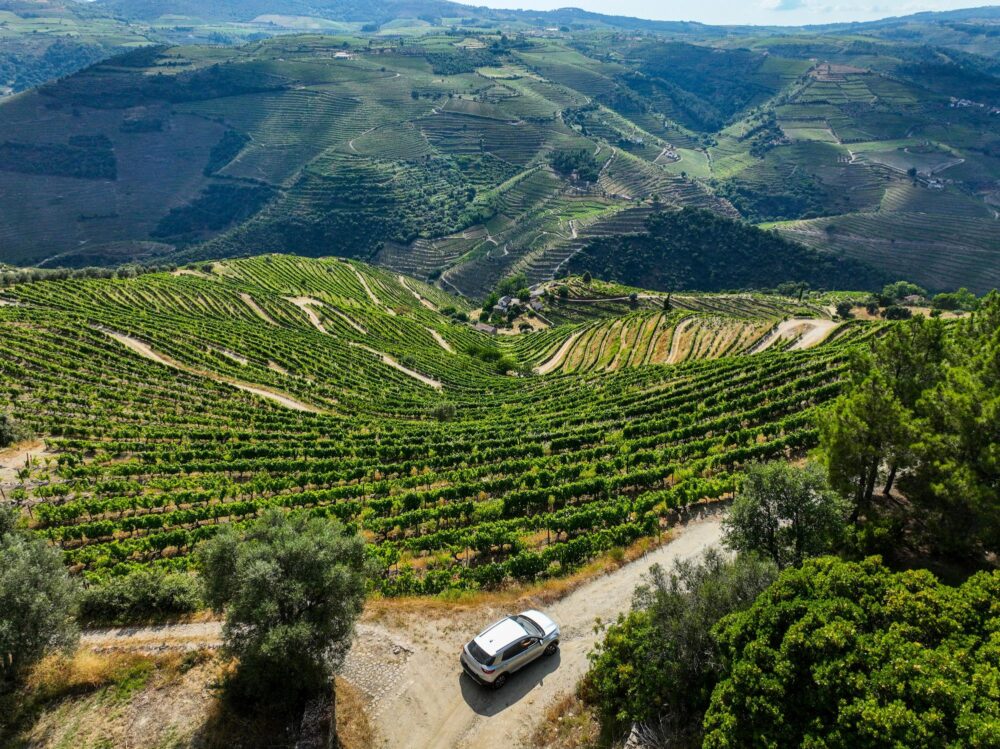 La route N222 dans la vallée du Douro, Portugal
