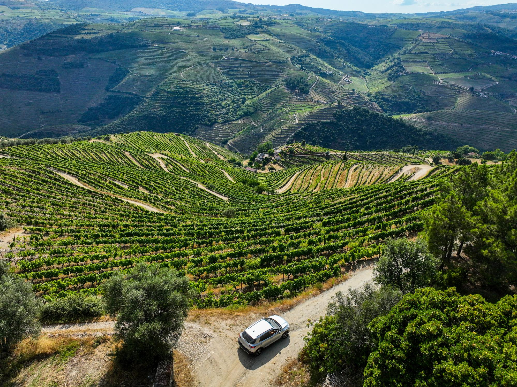 La route N222 dans la vallée du Douro, Portugal