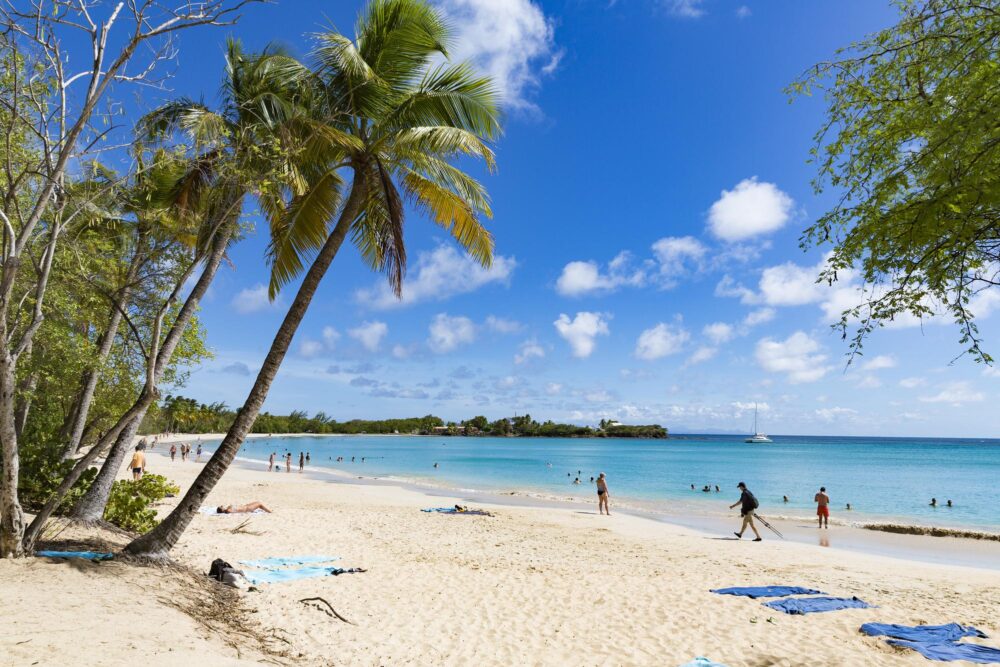 La superbe plage des Salines à la Martinique