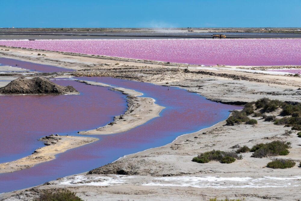 Les salins du Midi