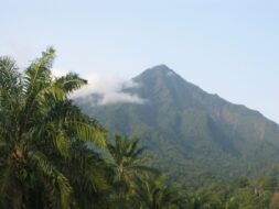 Mont Cameroun, Cameroun
