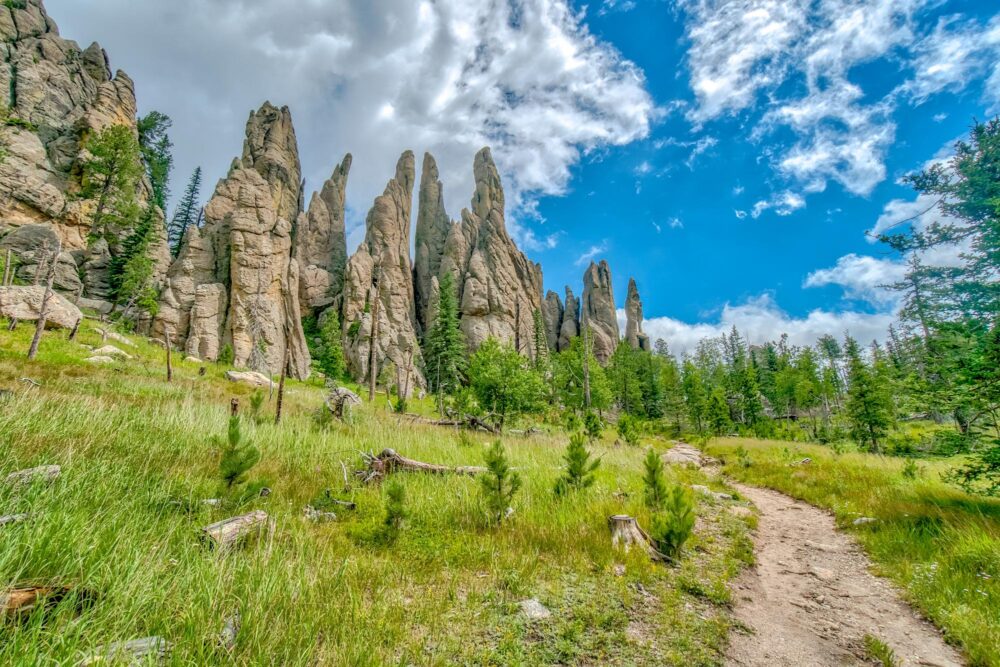 Needles dans le Custer State Park, Dakota du sud