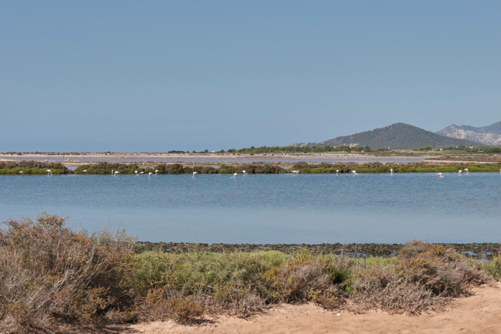 Parc naturel de Ses Salines,Ibiza