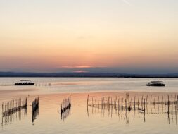 Parc naturel de l’Albufera, Valence