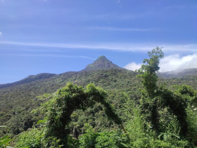 Pic d’Adam, Sri Lanka