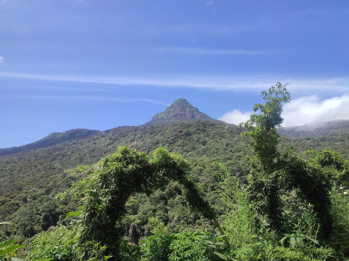 Pic d’Adam, Sri Lanka