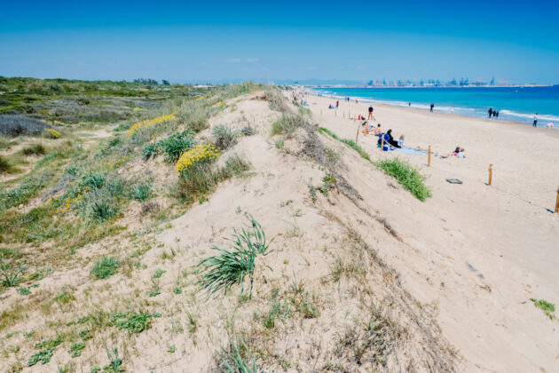 Plage d’El Saler Valence, Espagne