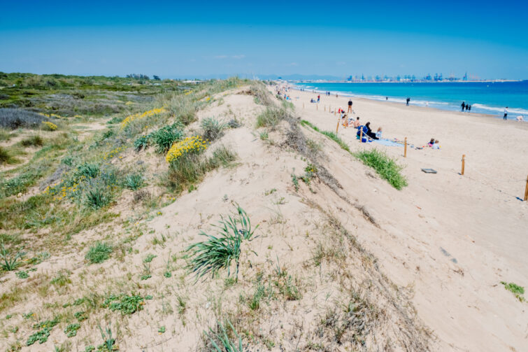 Plage d’El Saler Valence, Espagne