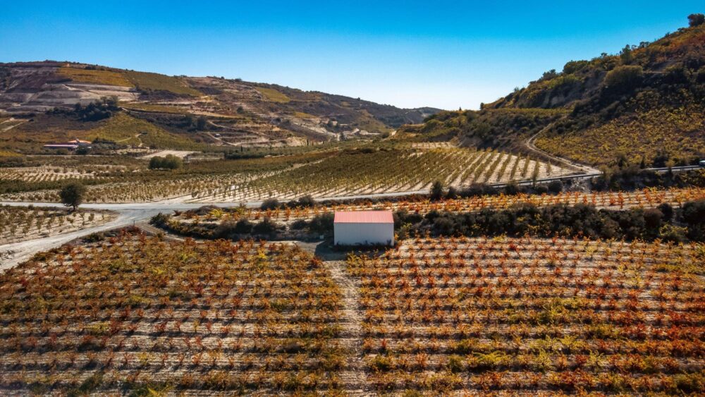 Vignobles des monts Troodos