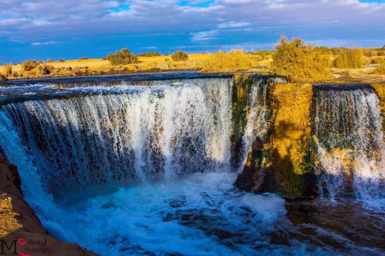 Wadi El Rayan, Égypte