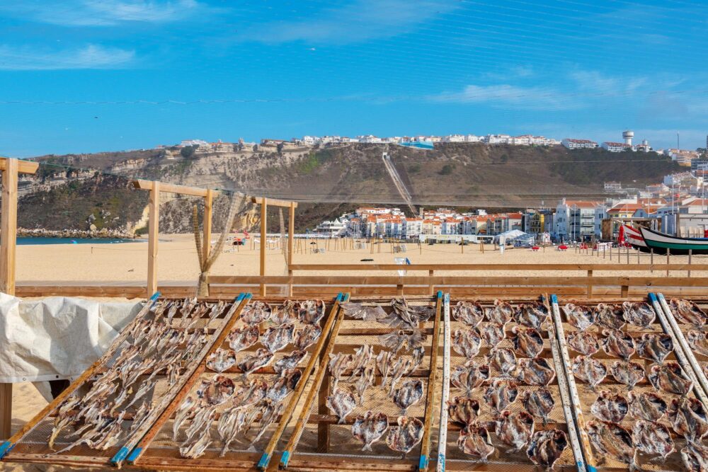 séchage de poissons sur la plage de Nazaré