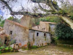 Couvent des Capucins, Sintra