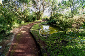 Jardim botanico do Faial, Faial