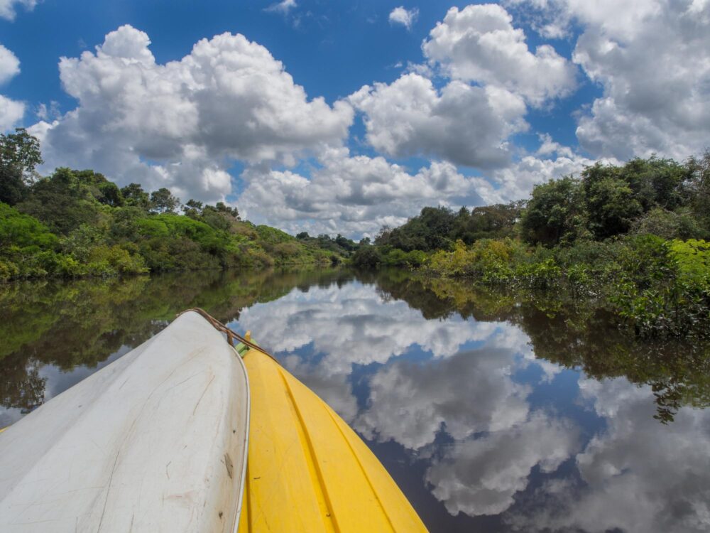 Kayak en Amazonie, Brésil