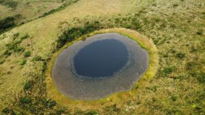 Lagoa Olho Gordo, Flores