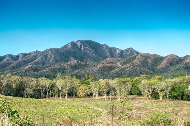 Le Mont Panié, Nouvelle Calédonie