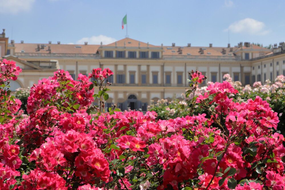 Le Roseto Niso Fumagall,Italie
