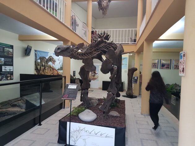 Lourinhã Museum, Lourinhã