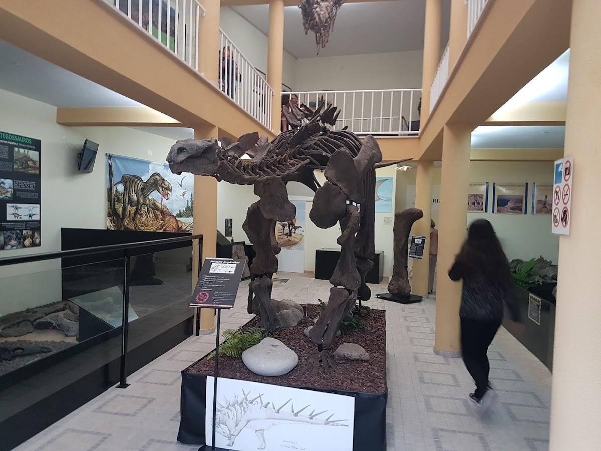 Lourinhã Museum, Lourinhã
