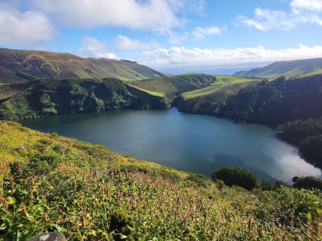 Miradouro Caldeira Rasa e Funda, Flores