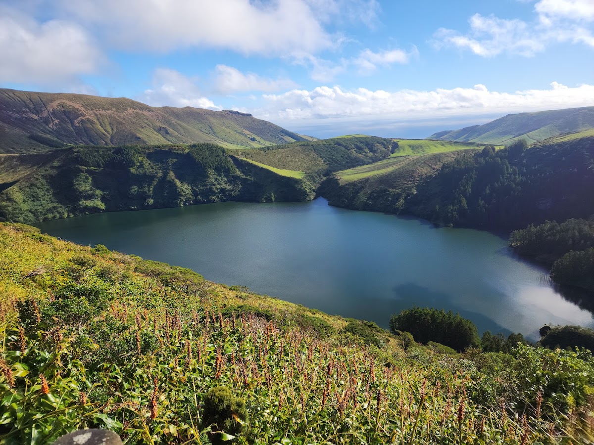 Miradouro Caldeira Rasa e Funda, Flores