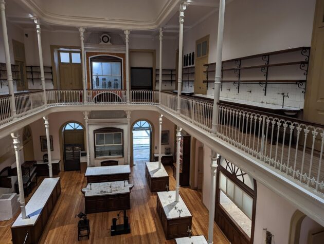 Musée national d'histoire naturelle et des sciences, Lisbonne