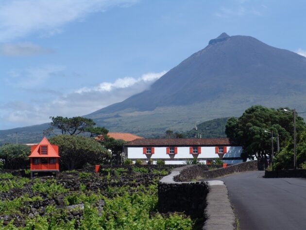 Museu do Vinho, Pico