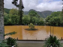 Parque Terra Nostra, São Miguel