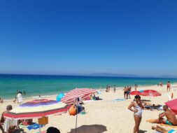 Plage de Comporta, Comporta
