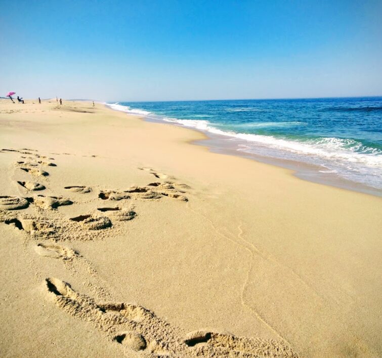 Praia da Costa de Santo André, Santiago do Cacém